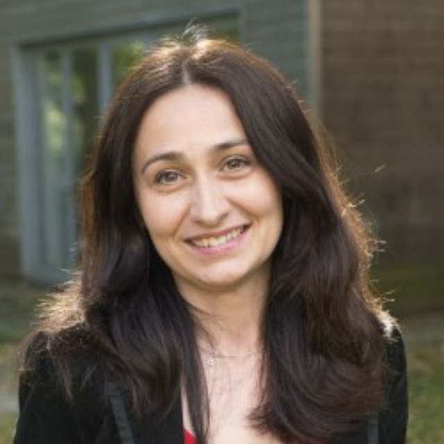 Professor Alis Oancea
